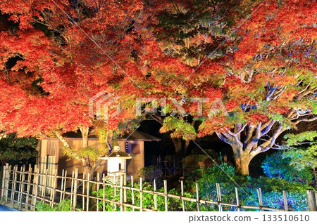 【愛媛縣】松山城二之丸光之庭園 133510610