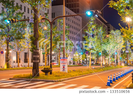 Osaka Prefecture Midosuji Illuminations 2025 133510656
