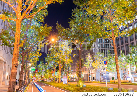 大阪府禦堂筋燈光秀 2025 133510658