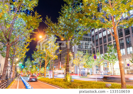 Osaka Prefecture Midosuji Illuminations 2025 Osaka Prefecture Midosuji Illuminations 2025 133510659