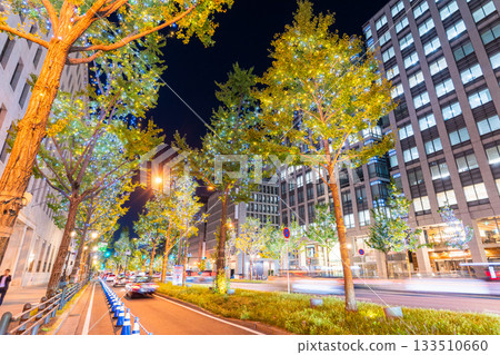 Osaka Prefecture Midosuji Illuminations 2025 133510660