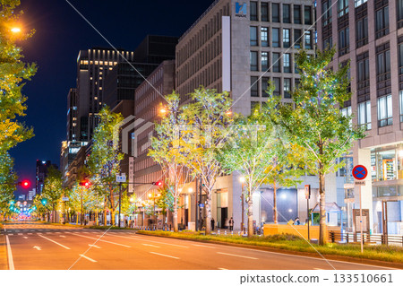 大阪府禦堂筋燈光秀 2025 133510661