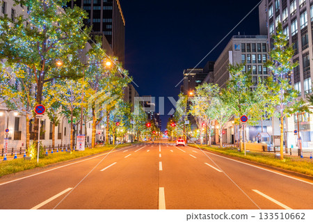 Osaka Prefecture Midosuji Illuminations 2025 Osaka Prefecture Midosuji Illuminations 2025 133510662