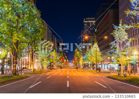 大阪府禦堂筋燈光秀 2025 133510665