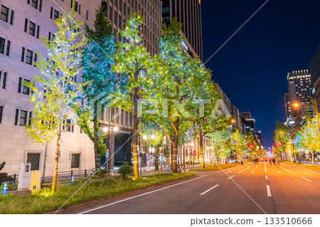 Osaka Prefecture Midosuji Illuminations 2025 133510666
