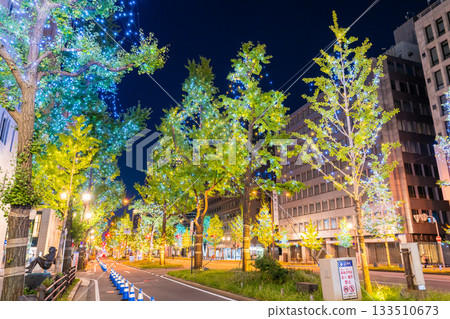 大阪府禦堂筋燈光秀 2025 133510673