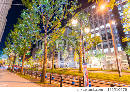 Osaka Prefecture Midosuji Illuminations 2025 133510676