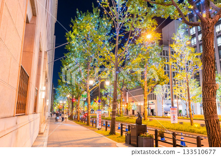 Osaka Prefecture Midosuji Illuminations 2025 133510677