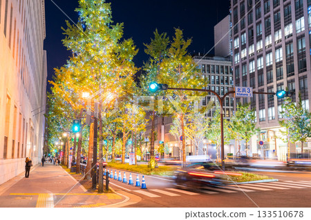 Osaka Prefecture Midosuji Illuminations 2025 Osaka Prefecture Midosuji Illuminations 2025 133510678