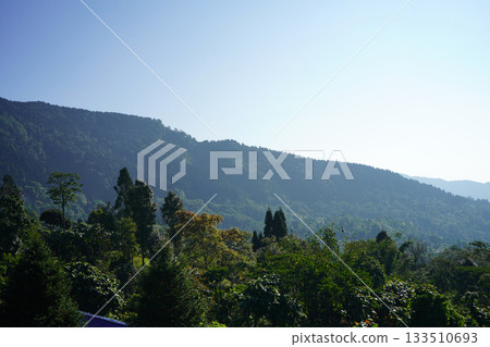 Lush Green Subtropical Mountain Range Landscape Lush Green Subtropical Mountain Range Landscape 133510693