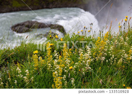 黃金瀑布(Gullfoss)意為“金色瀑布”,發源於北歐島國冰島的惠塔河(Hvítaá River)。 黃金瀑布(Gullfoss)意為“金色瀑布”,發源於北歐島國冰島的惠塔河(Hvítaá River)。 133510928