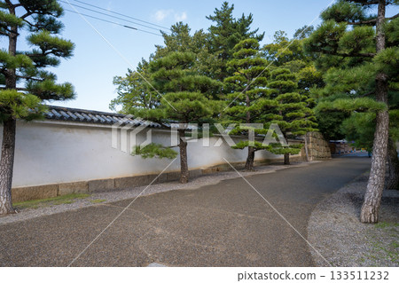 從丸龜城主塔俯瞰城市景觀。 133511232