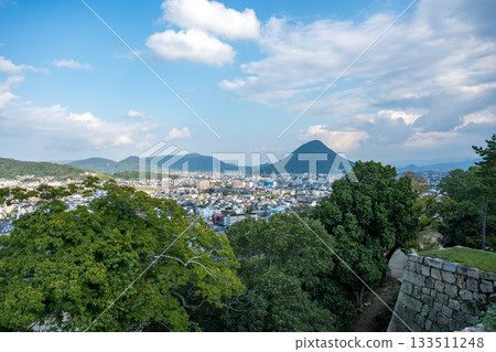 View of the cityscape from Marugame Castle's main tower 133511248