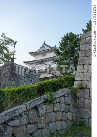 View of the cityscape from Marugame Castle's main tower 133511253