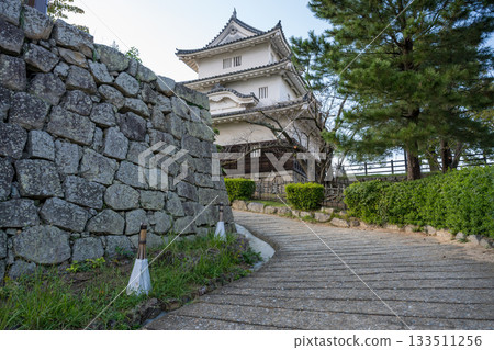 View of the cityscape from Marugame Castle's main tower 133511256