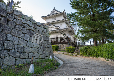 View of the cityscape from Marugame Castle's main tower 133511257