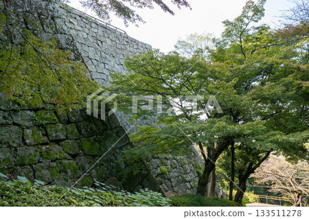 View of the cityscape from Marugame Castle's main tower 133511278