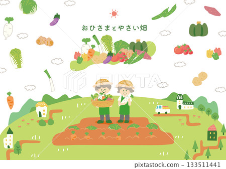 Sun and vegetable fields Sun and vegetable fields 133511441