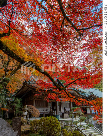 Ozuyama Sonjoji寺廟秋葉 133511488