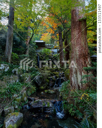 Autumn leaves of Ozuyama Sonjoji Temple 133511497
