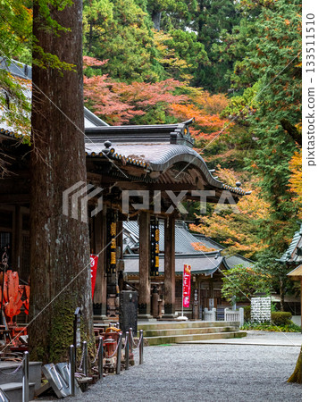 Autumn leaves of Ozuyama Sonjoji Temple Autumn leaves of Ozuyama Sonjoji Temple 133511510