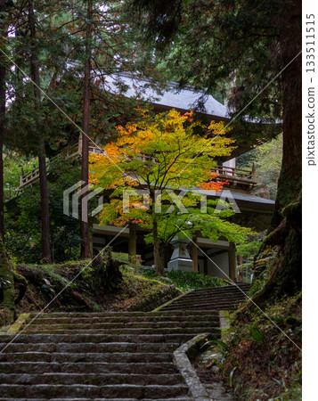 Ozuyama Sonjoji寺廟秋葉 Ozuyama Sonjoji寺廟秋葉 133511515