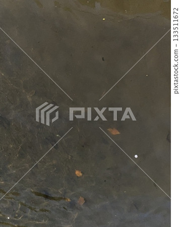 Fallen leaves and mud in irrigation channels Fallen leaves and mud in irrigation channels 133511672