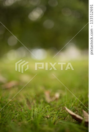 Close up of fresh grass on field 133512691