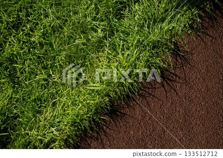 Diagonal separate green and brown 133512712