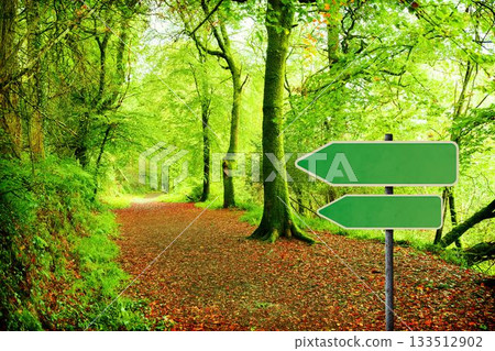 Green road sign by forest trail 133512902