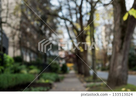 Footpath by trees in city 133513024