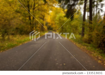 Empty road amidst autumn trees Empty road amidst autumn trees 133513031