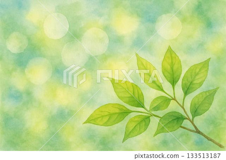 鮮綠的葉子生態水彩畫 133513187