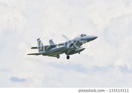 第 306 中隊的 F-15J 準備降落 133513511