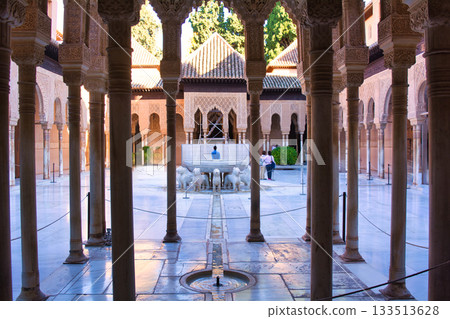 Spectacular views of the Alhambra, a World Heritage Site in Granada 133513628