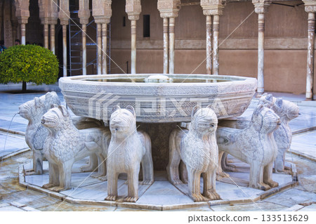 Spectacular views of the Alhambra, a World Heritage Site in Granada 133513629
