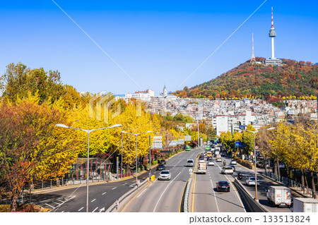 Autumn in Seoul: Namsan Tower and the ginkgo trees along Noksapyeong-daero (some soft focus) 133513824