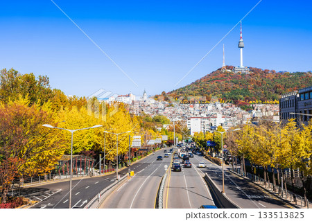 Autumn in Seoul: Namsan Tower and the ginkgo trees along Noksapyeong-daero (some soft focus) 133513825