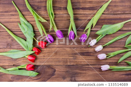 Flat design showing semicircle red purple white tulips green leaves fanning across wood tabletop Flat design showing semicircle red purple white tulips green leaves fanning across wood tabletop 133514089