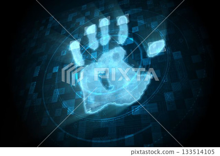 Digital security hand scan 133514105