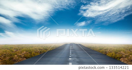 Flat design is showing paved road with dashed center line stretching through shrubs under blue sky 133514221
