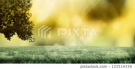Flat design is showing tree branch over grassy field, glowing golden bokeh backdrop 133514339