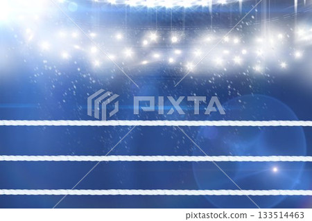 Composite image of ring ropes 133514463