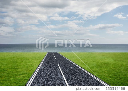 Straight asphalt road is stretching across flat design coastal grassland toward calm sea horizon 133514466