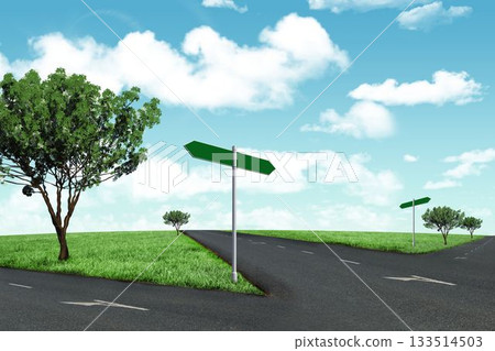 Road leading out to the horizon 133514503