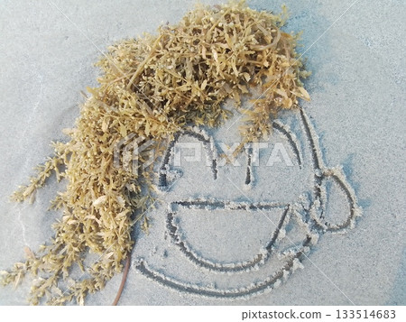 海邊的微笑 - 海藻 133514683