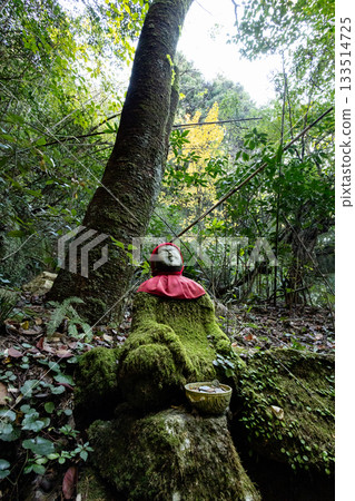 Autumn climbing 133514725