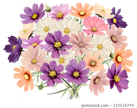 Colorful watercolor cosmos bouquet (landscape size) 133514774