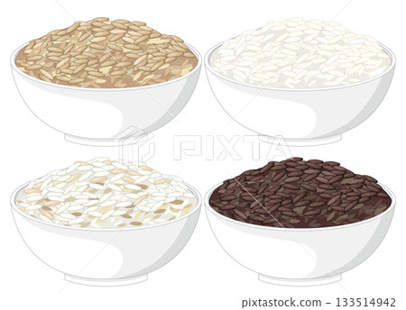 Four Bowls of Mixed Rice Varieties in Vector Style 133514942