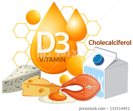 Vitamin D3 Sources with Dairy, Fish, Cheese, and Egg 133514951